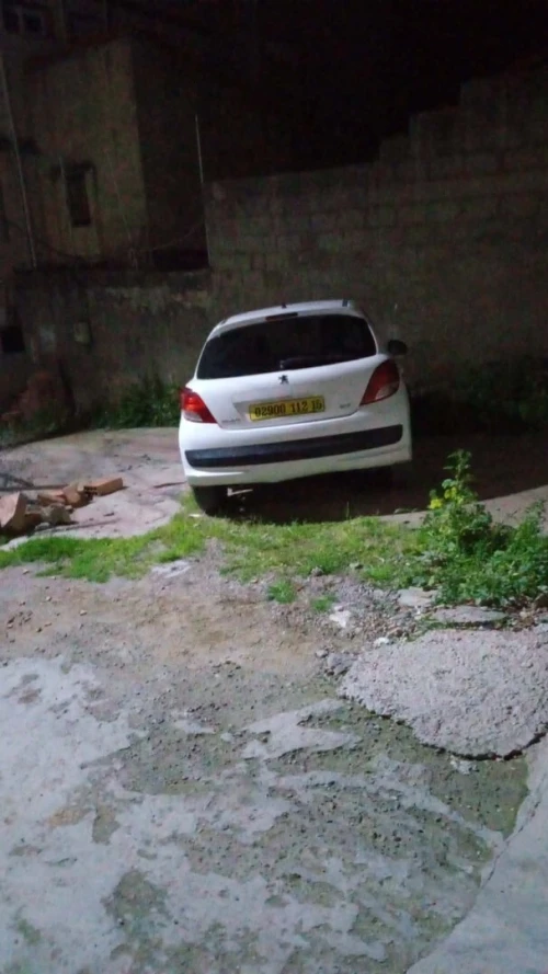 Peugeot 207 2012 Fennec