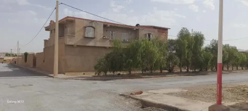 Vente Hangar - Usine M'Sila Sidi aissa