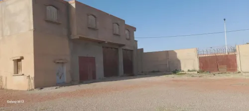 Vente Hangar - Usine M'Sila Sidi aissa