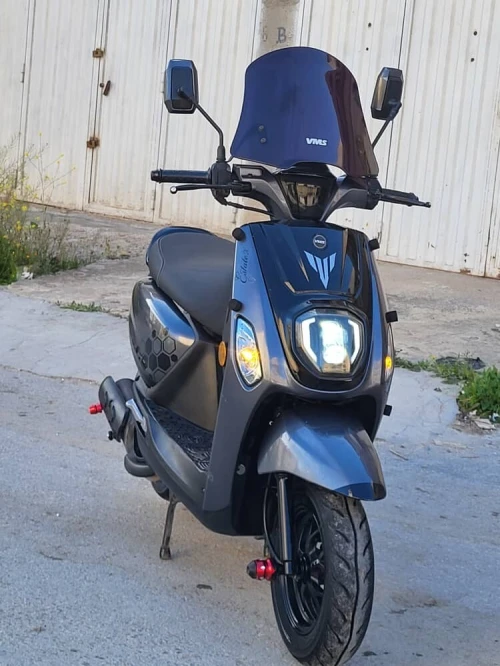Estate X 2024