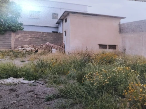 Vente Terrain Oran Hassi bounif