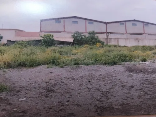 Vente Terrain Oran Hassi bounif