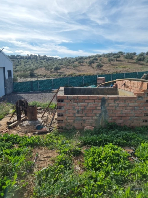 Location Terrain Agricole Bouira Oued el berdi