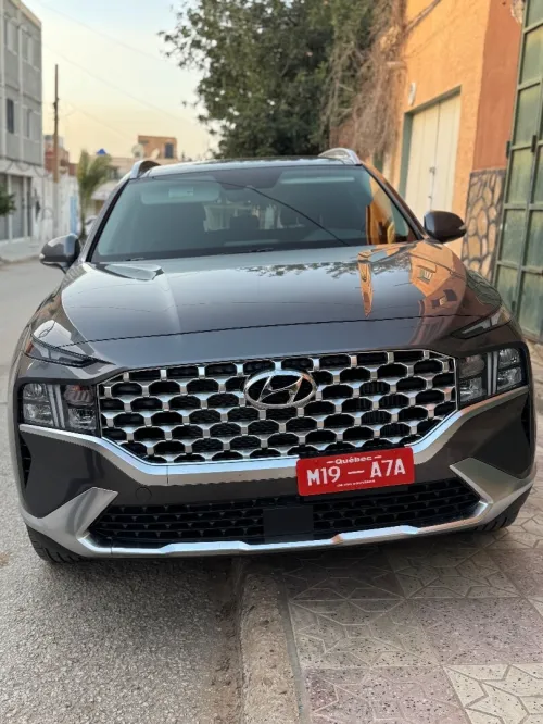 Hyundai Santafe santa fe 2024 H trac
