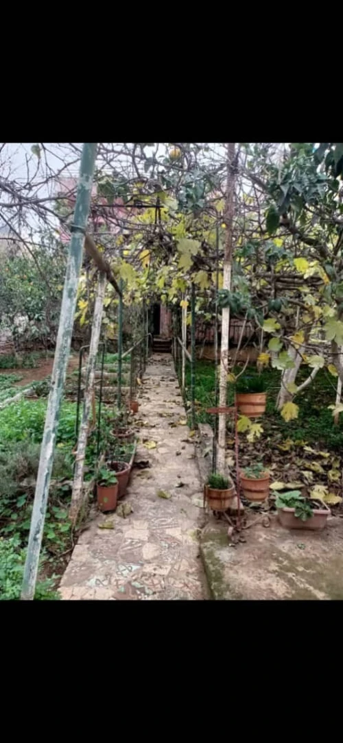 Vente Villa Oran Oran