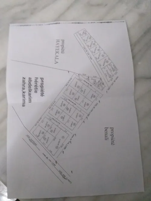 Vente Terrain Tlemcen Chetouane