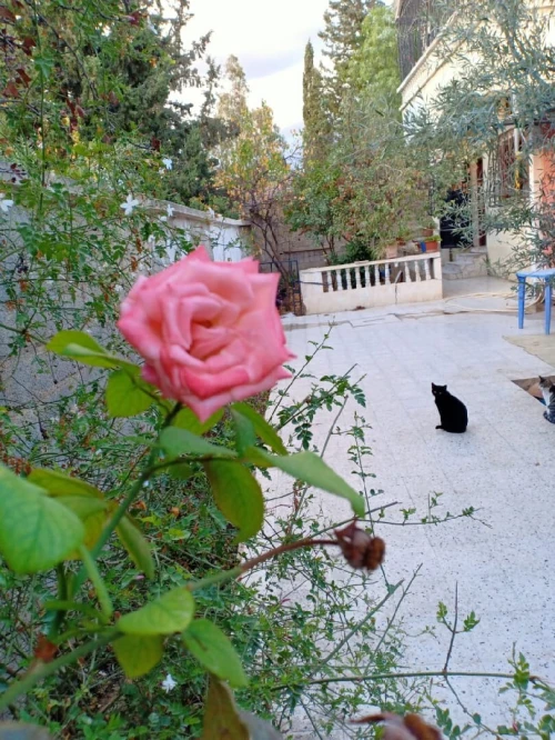 Vente Villa Constantine Constantine