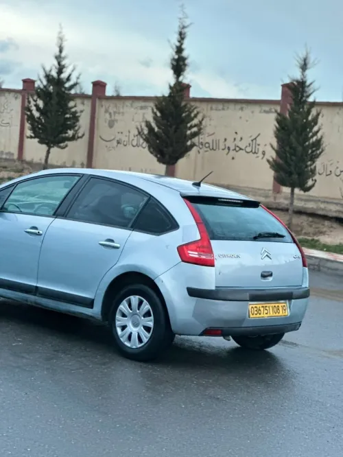 Citroen C4 2008 Vitamine