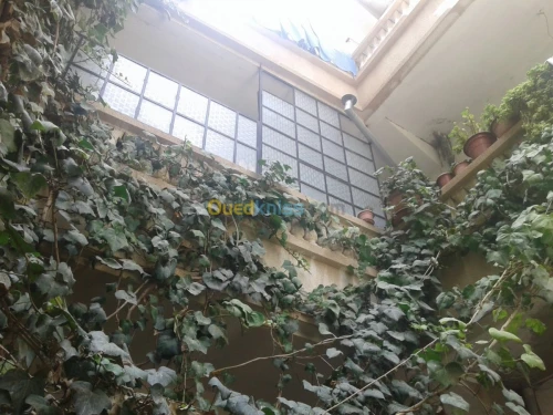 Vente Villa Mila Chelghoum laid