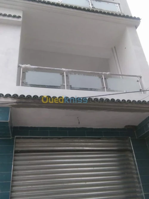 rompe de escalie inox