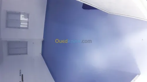 Gerflex antistatiques hôpitaux 