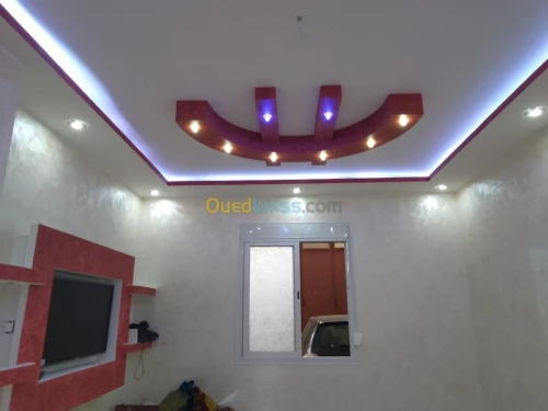 Placoplâtre& décoration  *panter