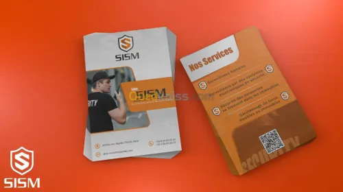 Infographe motion designer freelance