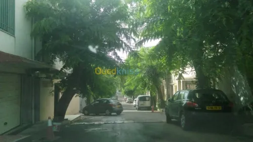Location Appartement Alger Hydra