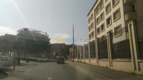 Location Hangar Alger Said hamdine