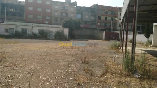 Location Hangar Alger Said hamdine