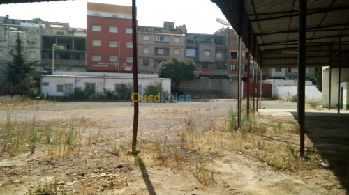 Location Hangar Alger Said hamdine