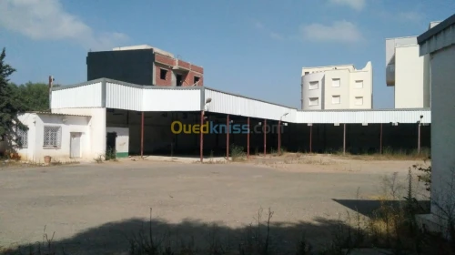 Location Hangar Alger Said hamdine