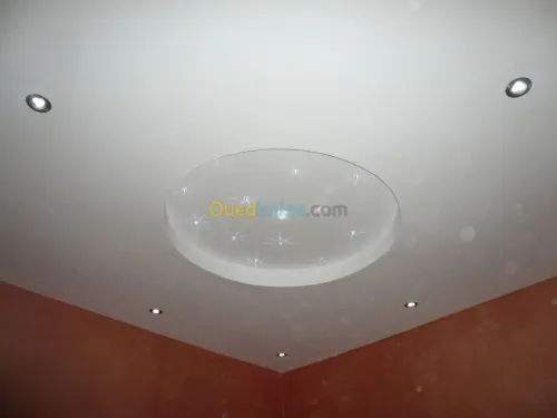 Faux plafond placo-PVC-demontable. . .