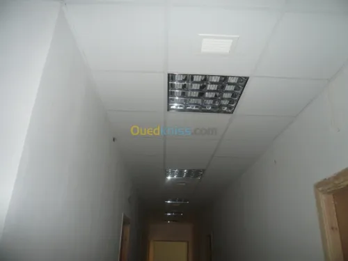 Faux plafond placo-PVC-demontable. . .