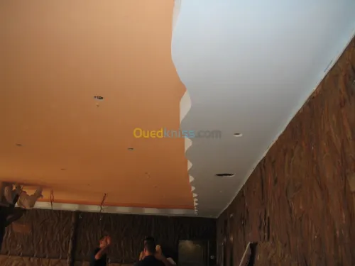 Faux plafond placo-PVC-demontable. . .