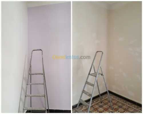 Peintre professionnel 