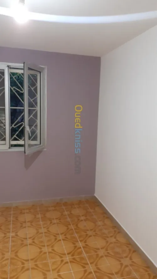Peintre professionnel 