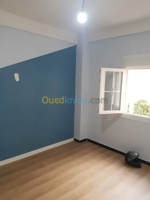 Peintre professionnel 