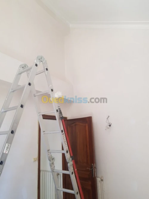 Peintre professionnel 