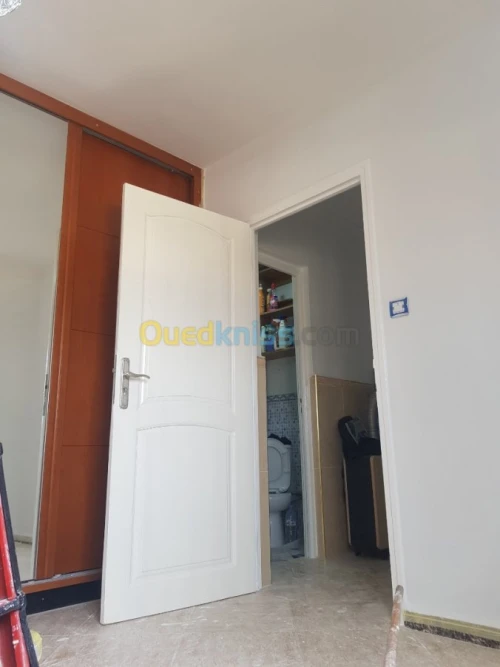 Peintre professionnel 