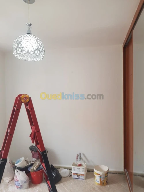 Peintre professionnel 