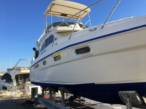 réparation bateaux résine, peinture polyuréthane - gelcoat - Topcoat  زورق نزهة، باخرة، قارب