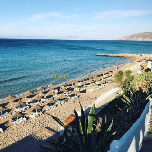 Location Appartement F3 Oran Ain el turck