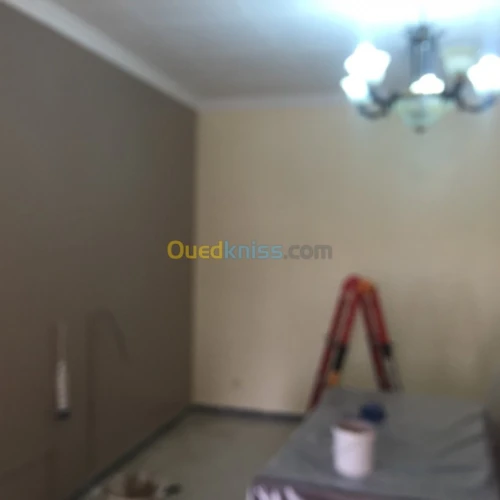 Tout traveux painture dècoration 