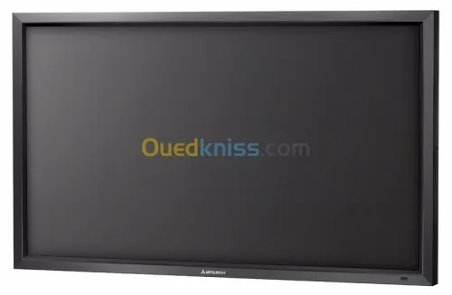 Moniteur couleur LDT551V/55"