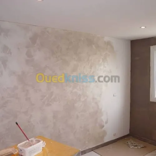 Peintre marocain professionnelle