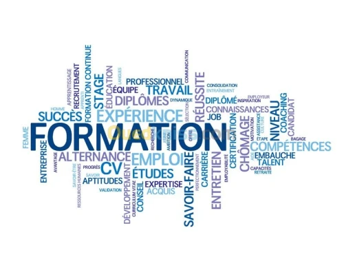 Formation professionnelle 