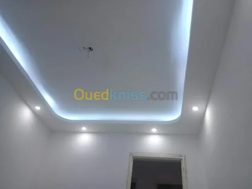  placoplâtre ba13 pvc