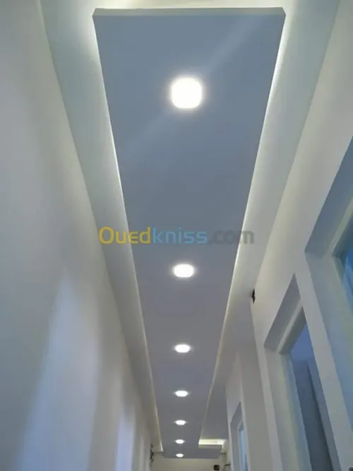  placoplâtre ba13 pvc