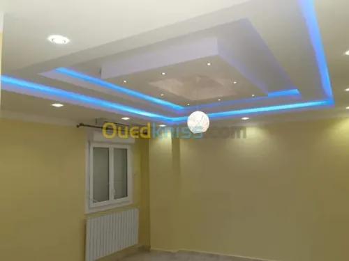  placoplâtre ba13 pvc