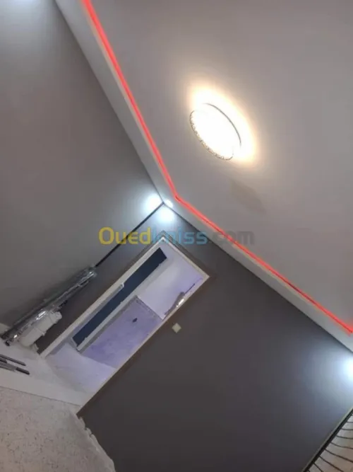  placoplâtre ba13 pvc