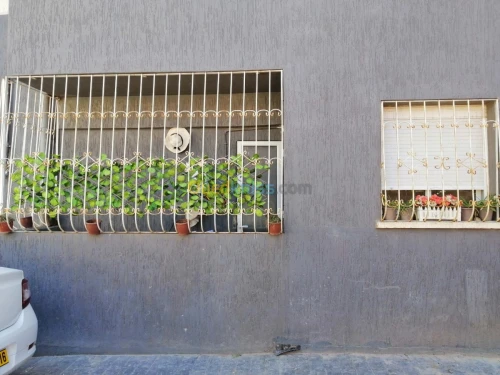 Location Appartement Tipaza Bou ismail