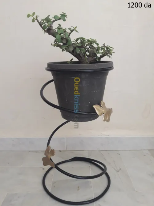 Supports pots