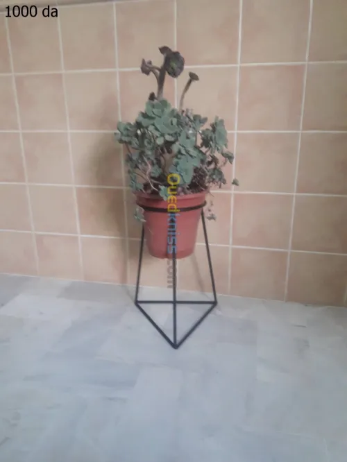 Supports pots