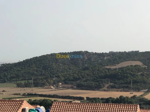 Vente Appartement F3 Tipaza Douaouda