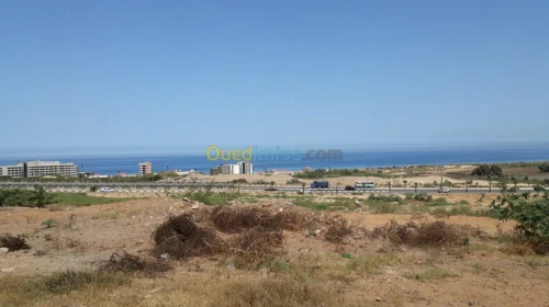 Vente Terrain Mostaganem Mostaganem