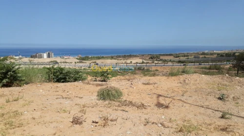 Vente Terrain Mostaganem Mostaganem