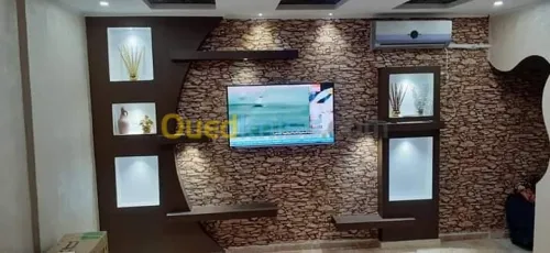 decoratio/placo platre