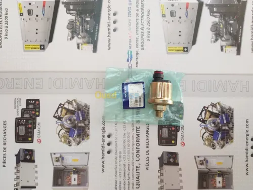Régulateur de voltage AVR Groupe élect