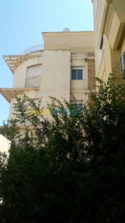 Location Appartement Alger Dely brahim
